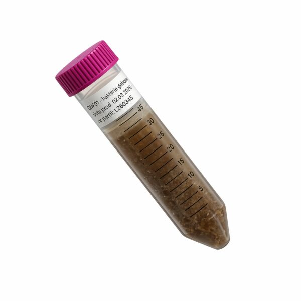 BNF01 Bakterie glebowe 10 ha