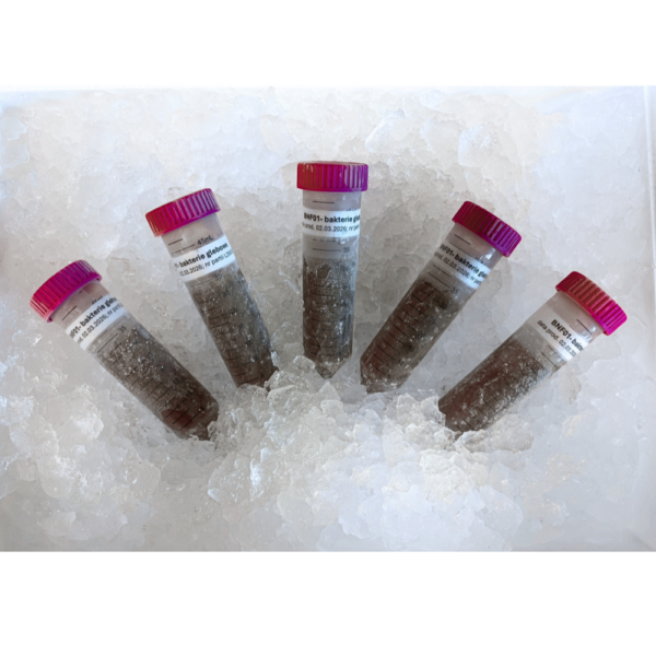 BNF01 Bakterie glebowe 10 ha