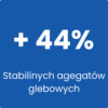AA BNF01 - Bakterie glebowe (10 ha)